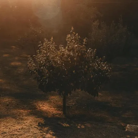 Fonte Bed & Breakfast Ferrere